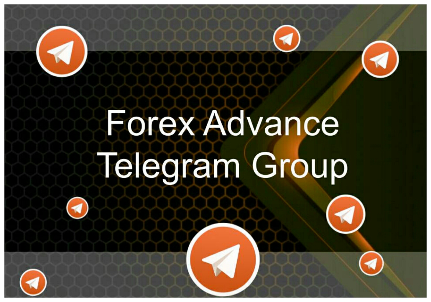 usa forex telegram group