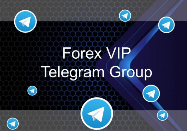 Forex Signal Telegram group VIP | Fx Channels