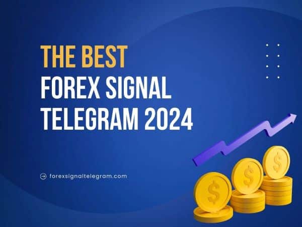 Forex Signal Telegram 2024