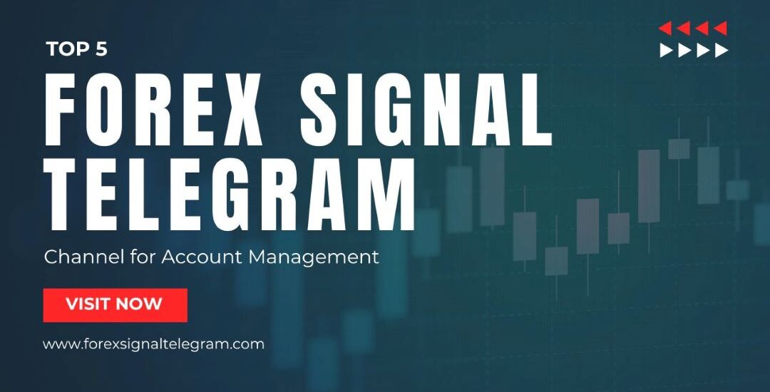 Forex Account Management Telegram