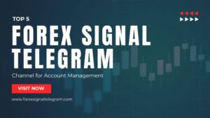 Forex Account Management Telegram