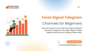 5 Must-Follow Forex Signal Telegram Channels for Beginners