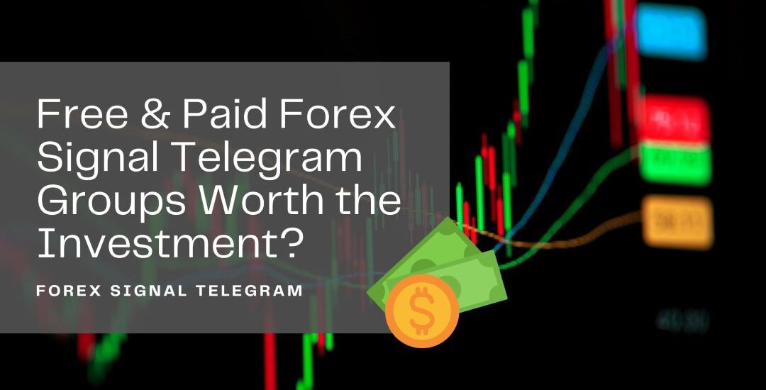 Forex Signal Telegram