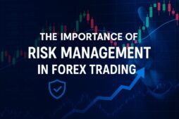 The Importance of Risk Management in Forex Trading