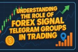 Understanding the Role of Forex Signal Telegram Groups